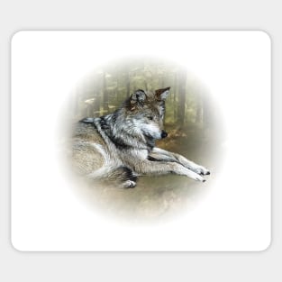 Wolf Sticker